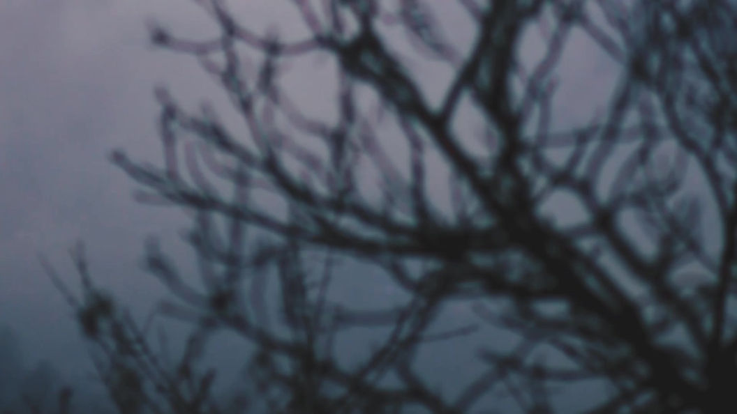 Travelogue Himachal Pradesh - 2019